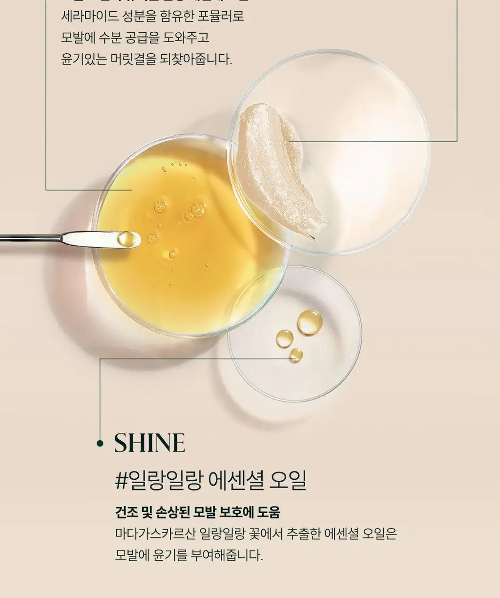 [손상 모발 케어] 르네휘테르 까리떼 프로페셔널 샴푸 200ml 상세페이지 11